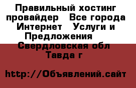 Правильный хостинг провайдер - Все города Интернет » Услуги и Предложения   . Свердловская обл.,Тавда г.